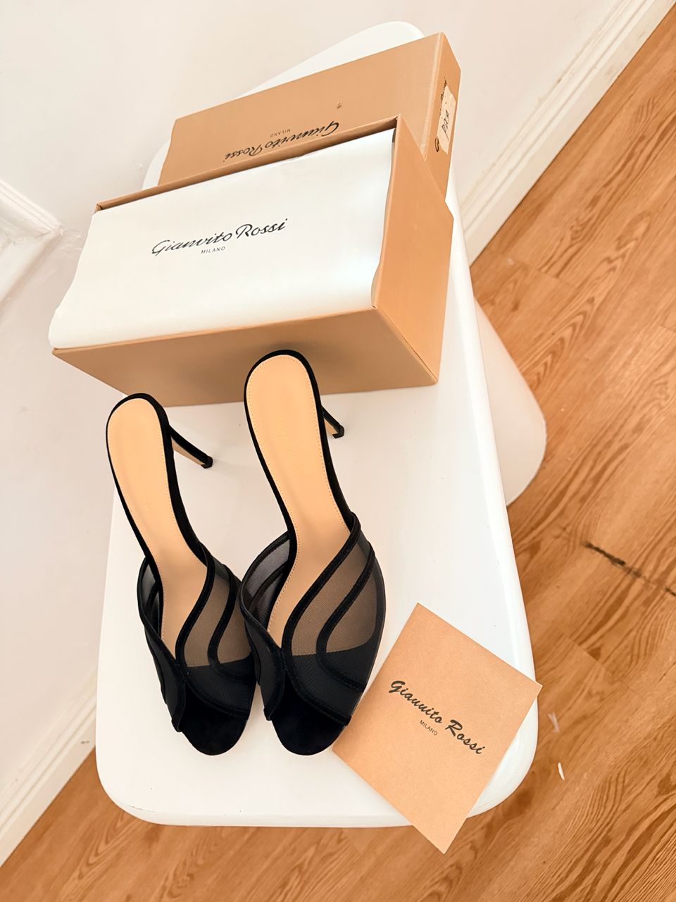 FIRST IMAGE MESH MULE Gianna Noir Mesh Mule – Gianvito Rossi - Image 1