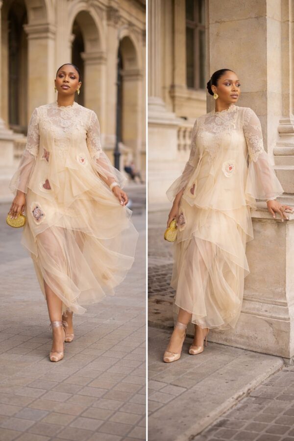 Zimmermann Sheer Layered silk Dress - Image 3