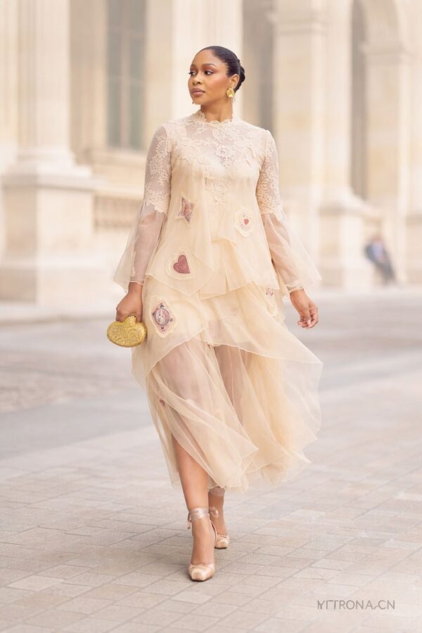 Zimmermann Sheer Layered silk Dress - Image 2