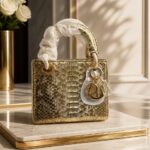 Lady Dior top-handle bag